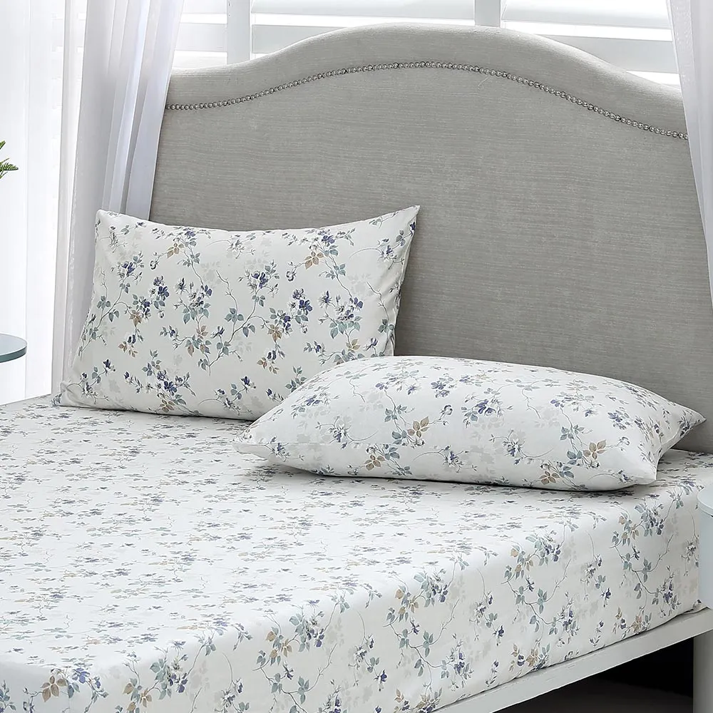 鴻宇 100%精梳棉 美國棉300織 枕套2入 多款任選_動物系列 歷史價格詳細信息