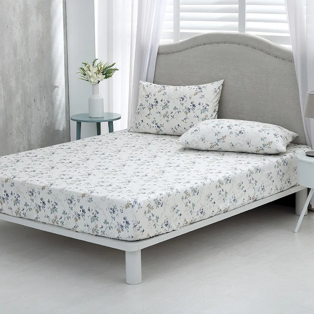 鴻宇 100%精梳棉 美國棉300織 枕套2入 多款任選_動物系列 歷史價格詳細信息