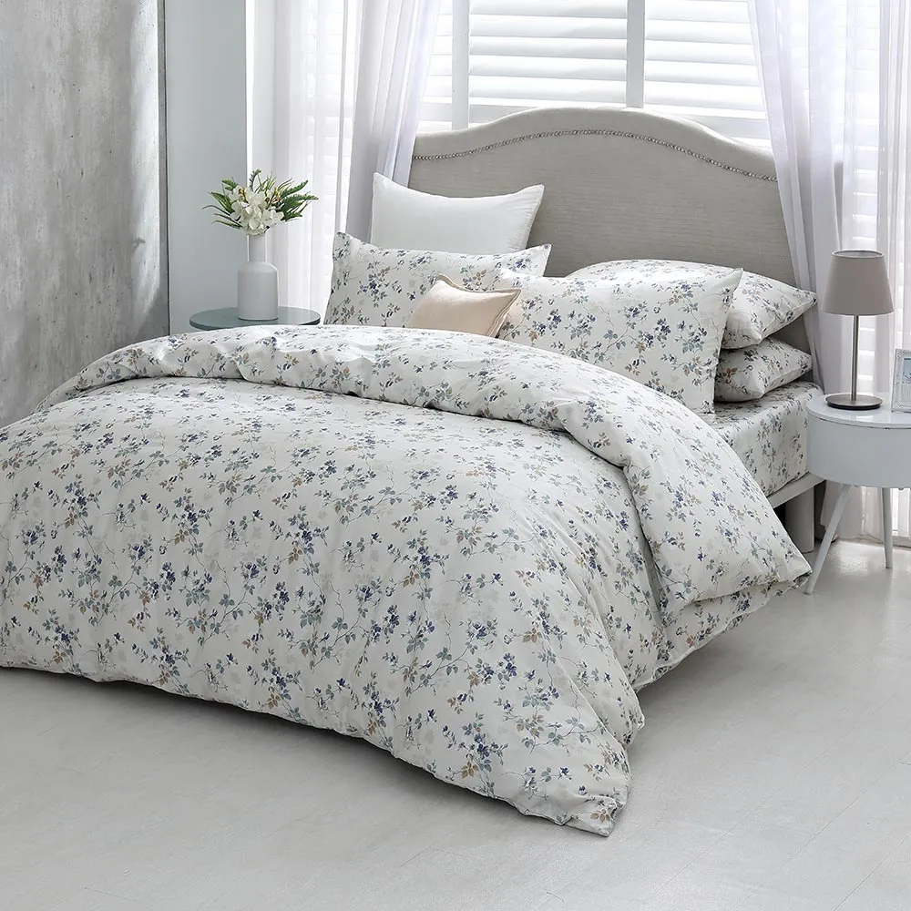 鴻宇 100%精梳棉 美國棉300織 賽蘿美 枕套2入 歷史價格詳細信息