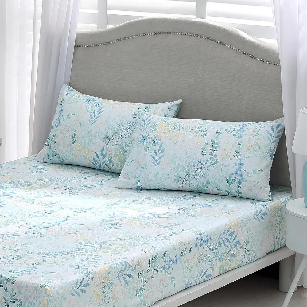 鴻宇 100%精梳棉 美國棉300織 藍伯特 雙人加大床包枕套三件組 歷史價格詳細信息