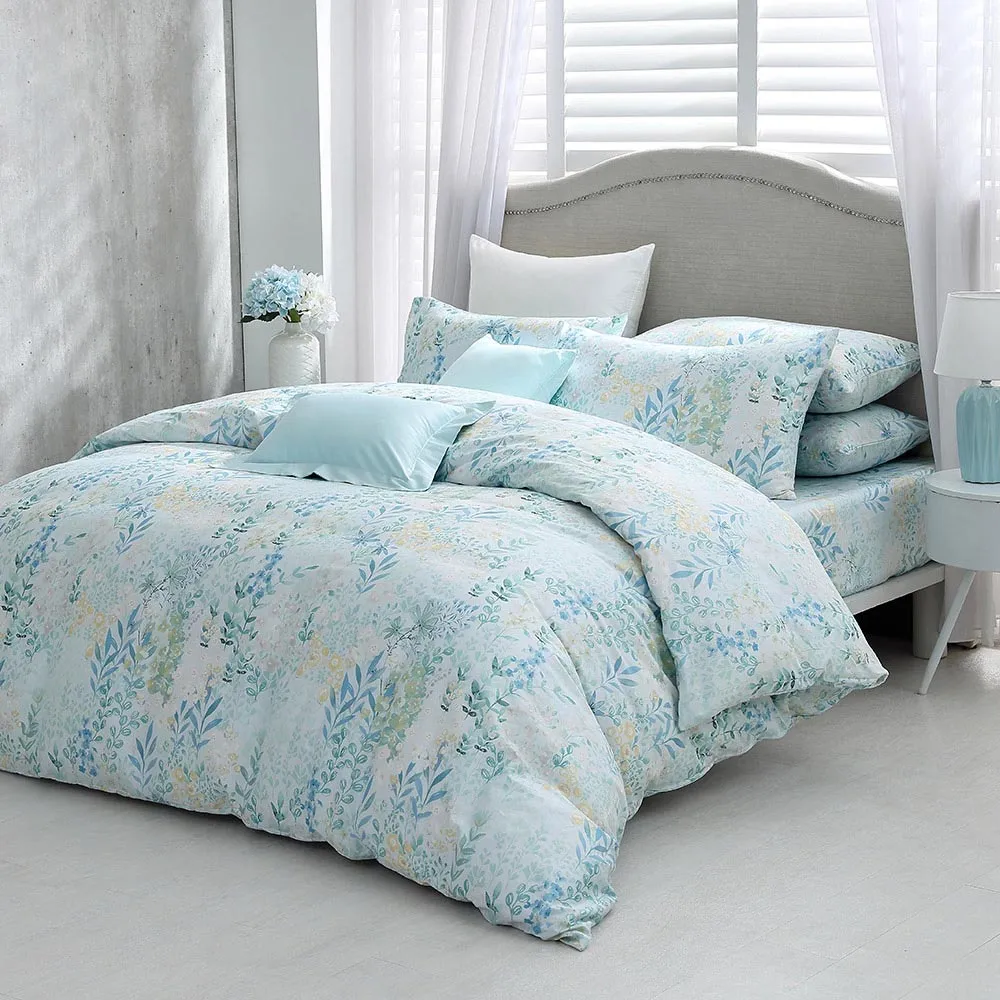 鴻宇 100%精梳棉 美國棉300織 藍伯特 雙人加大床包枕套三件組 歷史價格詳細信息