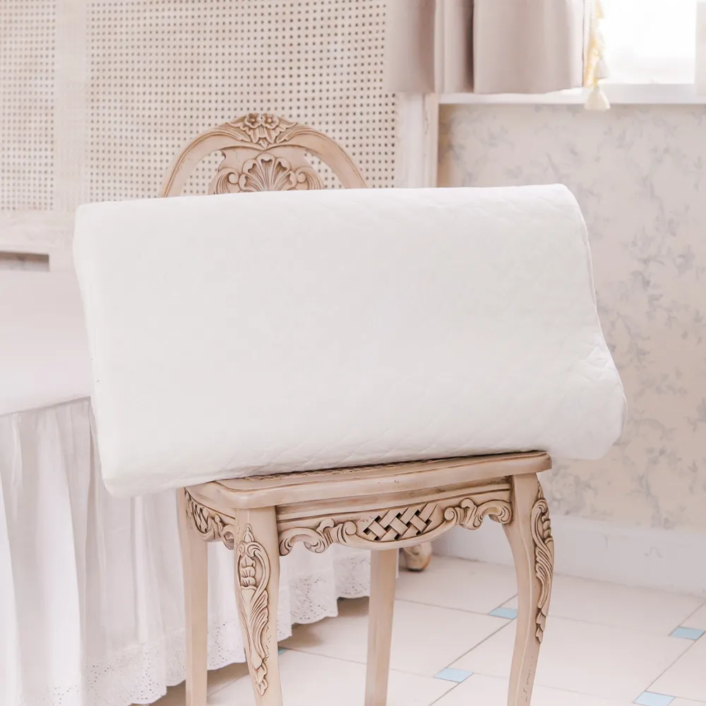 鴻宇 記憶枕 莎瓦竹碳陰離子記憶枕 緹花針織表布 台灣製 歷史價格詳細信息