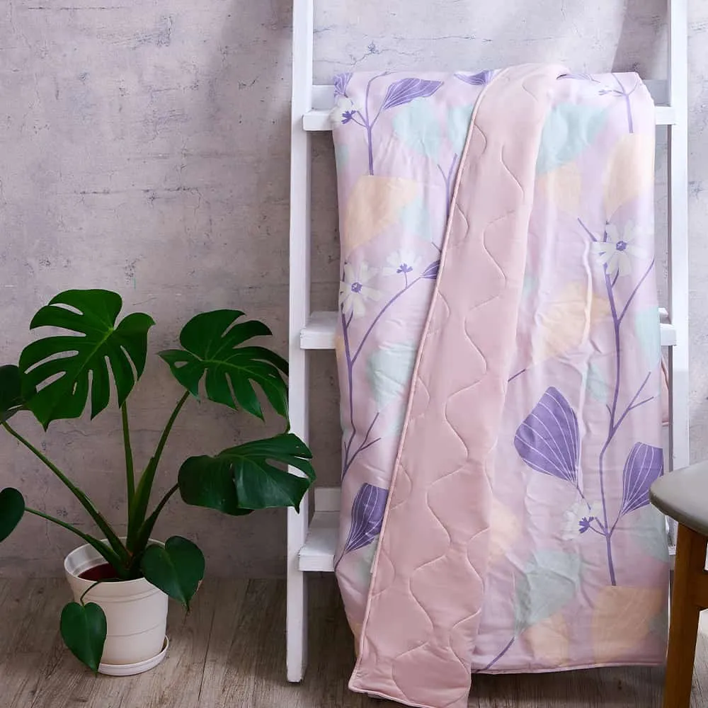 戀家小舖【絲柏特 / 涼被】100%天絲 40支天絲 雙人5x6尺涼被 台灣製 歷史價格詳細信息