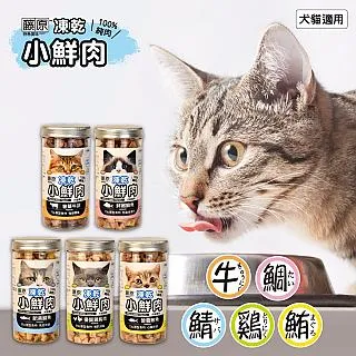 小天下｜用點心學校13：超級大明星（附贈首刷限量應援扇，三款隨機出貨）〖Zfong 智豐〗 歷史價格詳細信息