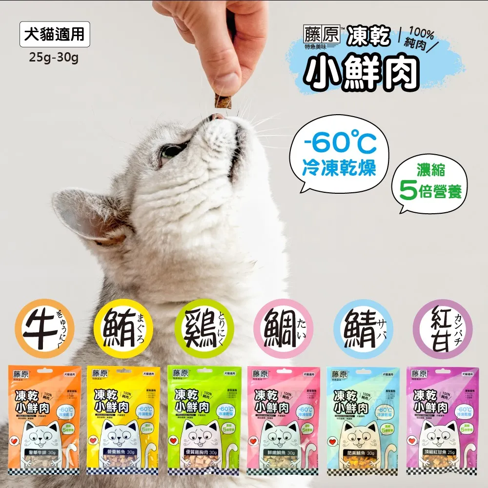 小天下｜用點心學校13：超級大明星（附贈首刷限量應援扇，三款隨機出貨）〖Zfong 智豐〗 歷史價格詳細信息