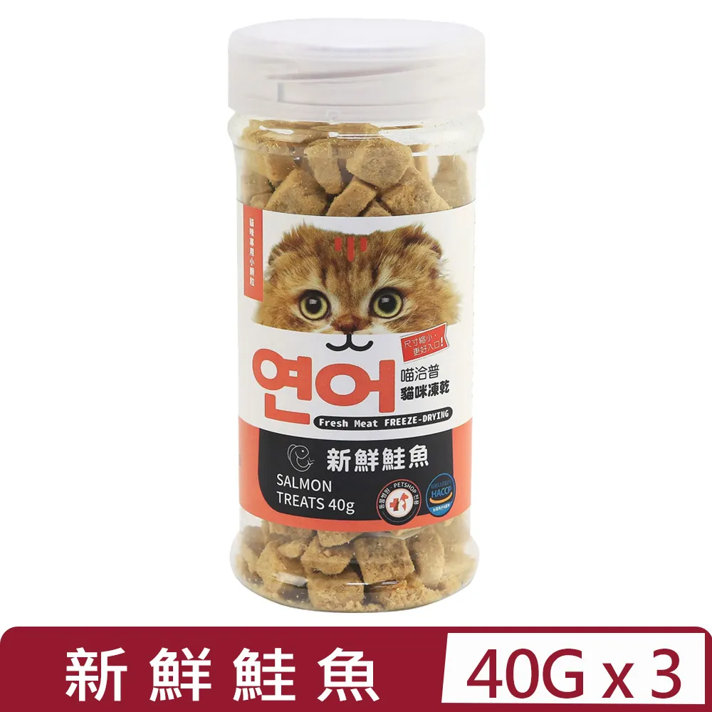 貓咪專用小枕頭寵物狗狗貓u型枕頭睡覺墊子柔軟舒適寵物用品 歷史價格詳細信息