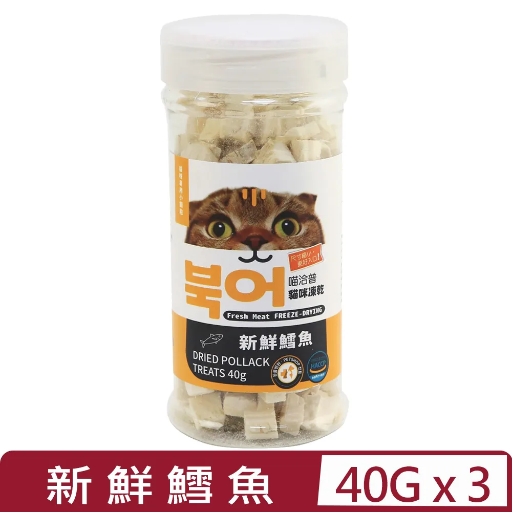 貓咪專用小枕頭寵物狗狗貓u型枕頭睡覺墊子柔軟舒適寵物用品 歷史價格詳細信息