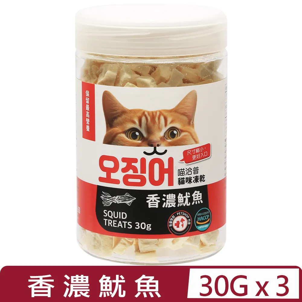 貓咪專用小枕頭寵物狗狗貓u型枕頭睡覺墊子柔軟舒適寵物用品 歷史價格詳細信息