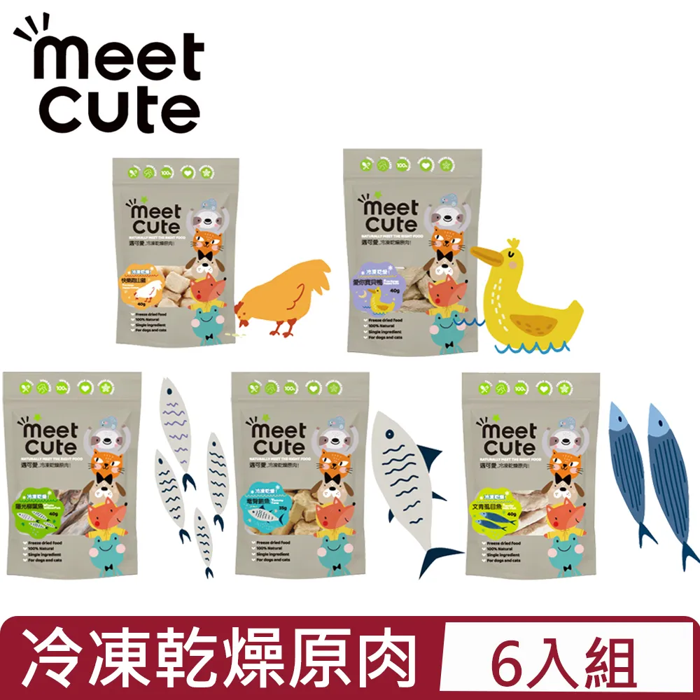MEET CUTE 遇可愛-肉泥主食罐 歷史價格詳細信息