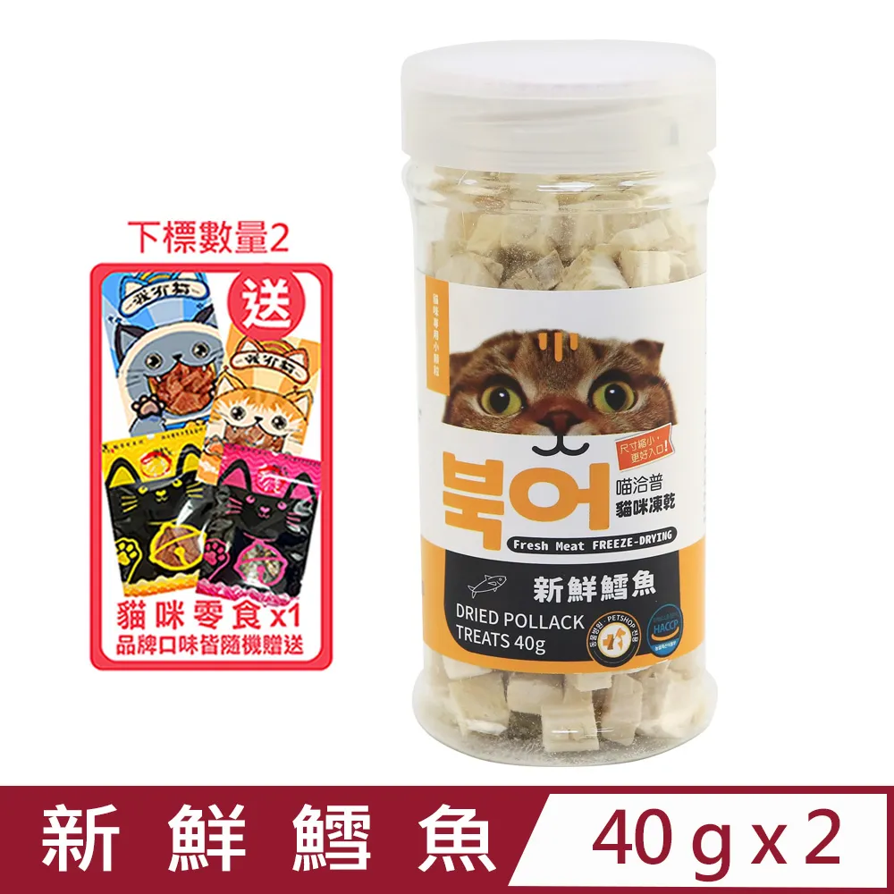 貓咪專用小枕頭寵物狗狗貓u型枕頭睡覺墊子柔軟舒適寵物用品 歷史價格詳細信息