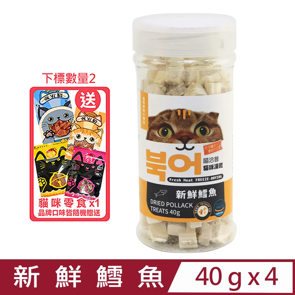 貓咪專用小枕頭寵物狗狗貓u型枕頭睡覺墊子柔軟舒適寵物用品 歷史價格詳細信息