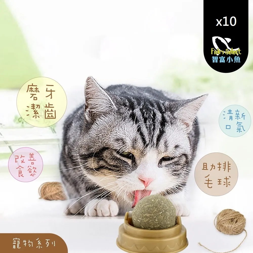 貓星人的華麗狂想【城邦讀書花園】 歷史價格詳細信息