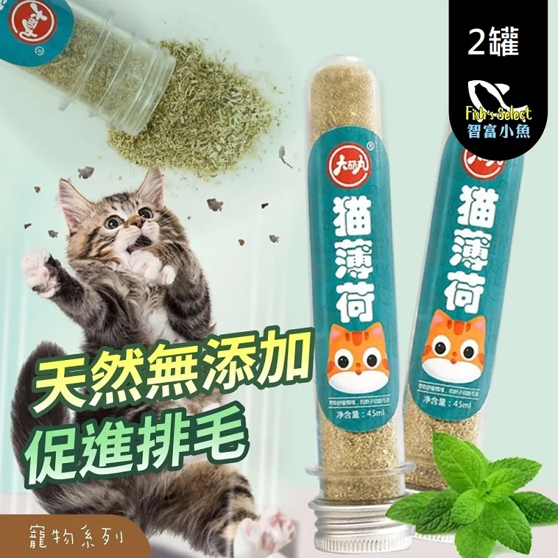 天母嚴選 草寫英文刷毛棉質大學T(共五色) 歷史價格詳細信息