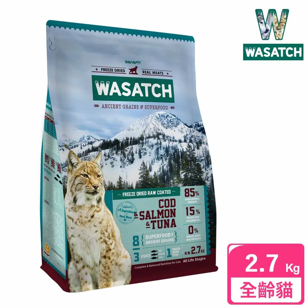 WASATCH  RIP 大圖繪圖機  原版光碟跟KEY  兩套一起買可議價 歷史價格詳細信息
