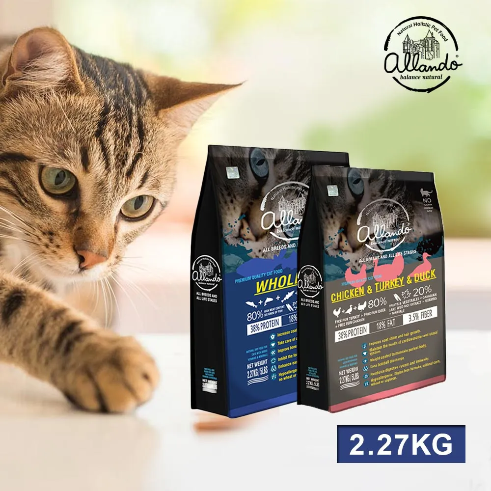 全魚解構與料理：採購、分切、熟成、醃製，從魚肉、魚鱗到內臟，天才主廚完整分解與利用一條魚的烹飪新思維，探究魚類料理與飲食的真價值/喬許・尼蘭德【城邦讀書花園】 歷史價格詳細信息