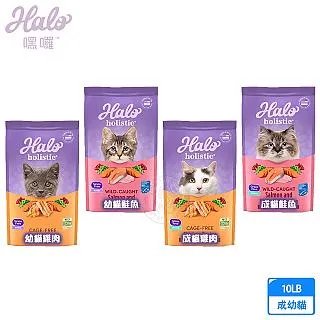 【10磅送一磅】瓜地馬拉/花神《中烘焙》 歷史價格詳細信息