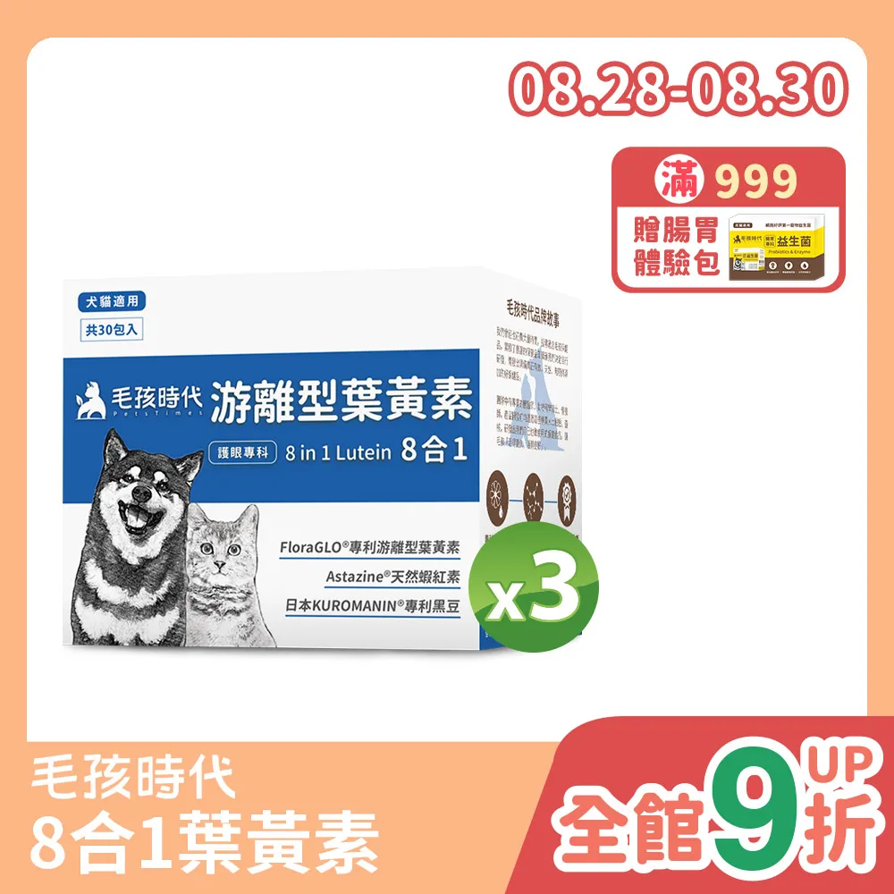 代售:游素蘭作品集 天使迷夢-黑暗的記憶-火燄紋章-星辰之戰-衣我以夜+天使降臨夜-巡狩人1-3 自有書 歷史價格詳細信息