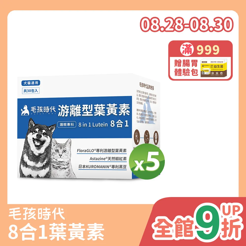 代售:游素蘭作品集 天使迷夢-黑暗的記憶-火燄紋章-星辰之戰-衣我以夜+天使降臨夜-巡狩人1-3 自有書 歷史價格詳細信息