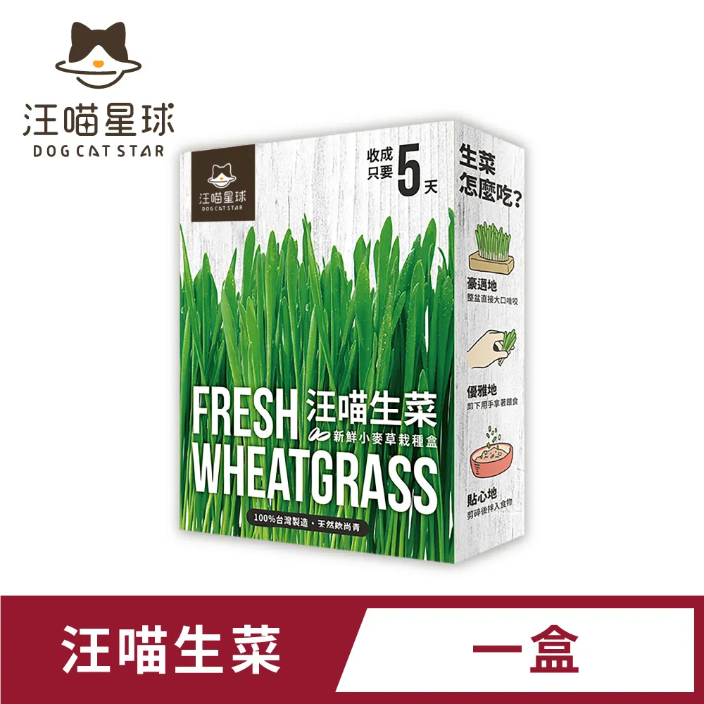 【汪喵星球】汪喵紓壓咬咬系列－潔牙木天蓼L號(犬貓紓壓) 歷史價格詳細信息