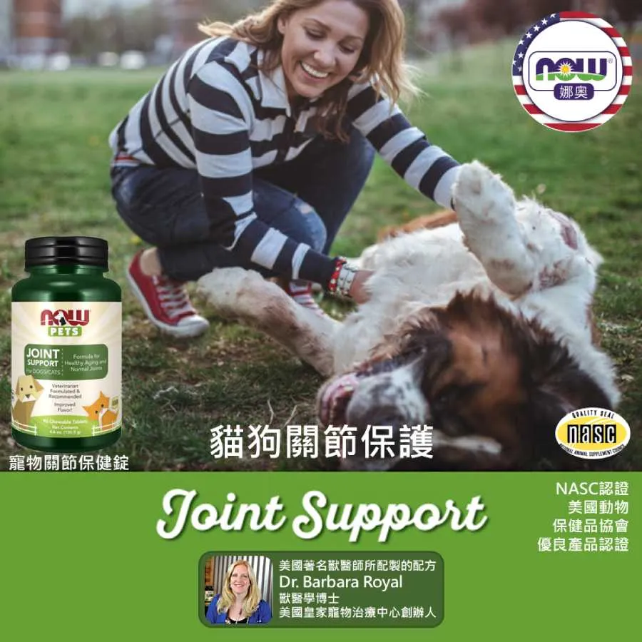 【NOW 娜奧】Now Foods 貓用L-離胺酸粉 227g ~4450~(L-Lysine/配方不含麩質) 歷史價格詳細信息