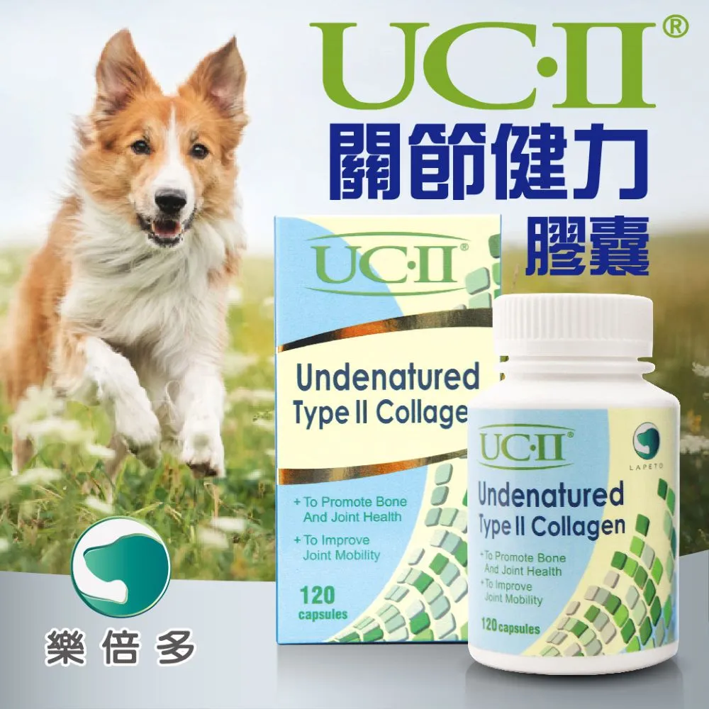 【健多樂】奧地利 金牌純南瓜籽油6瓶團購組(250mlX6瓶) 歷史價格詳細信息