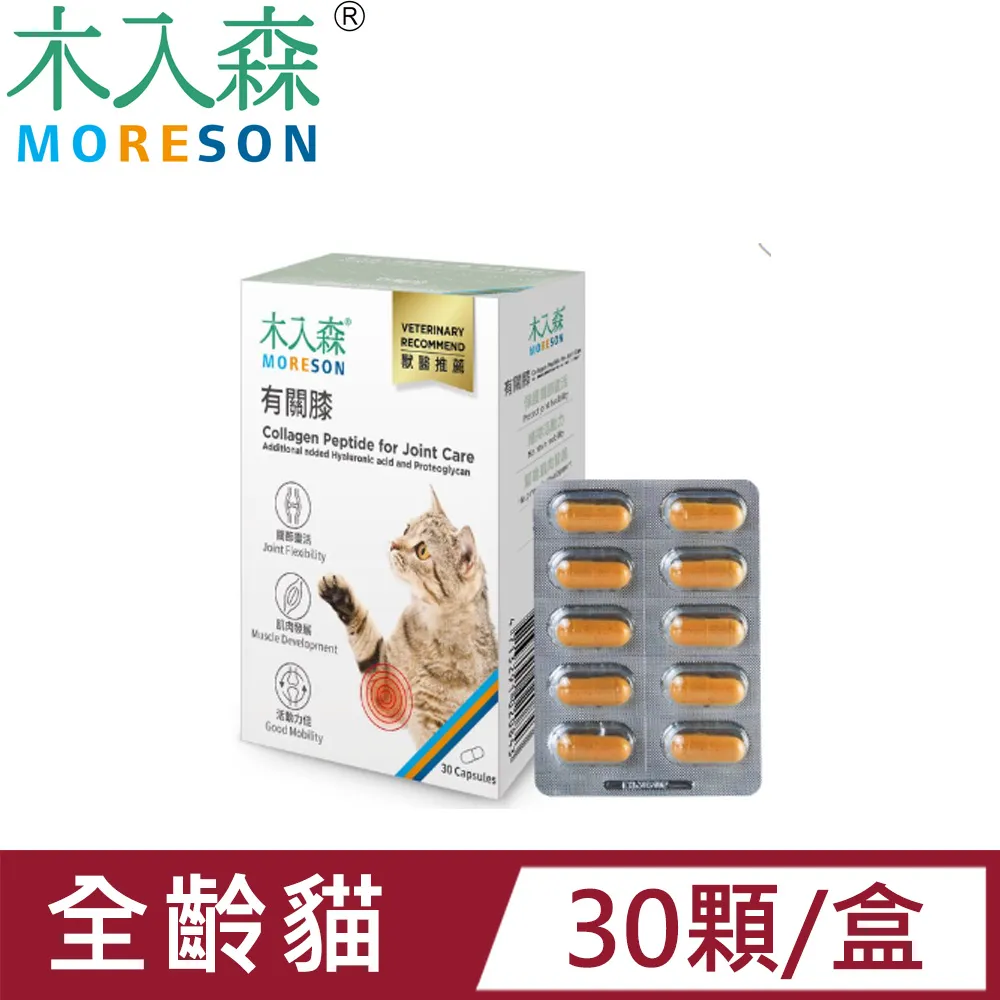 木入森MORESON貓咪膚立好50包 歷史價格詳細信息
