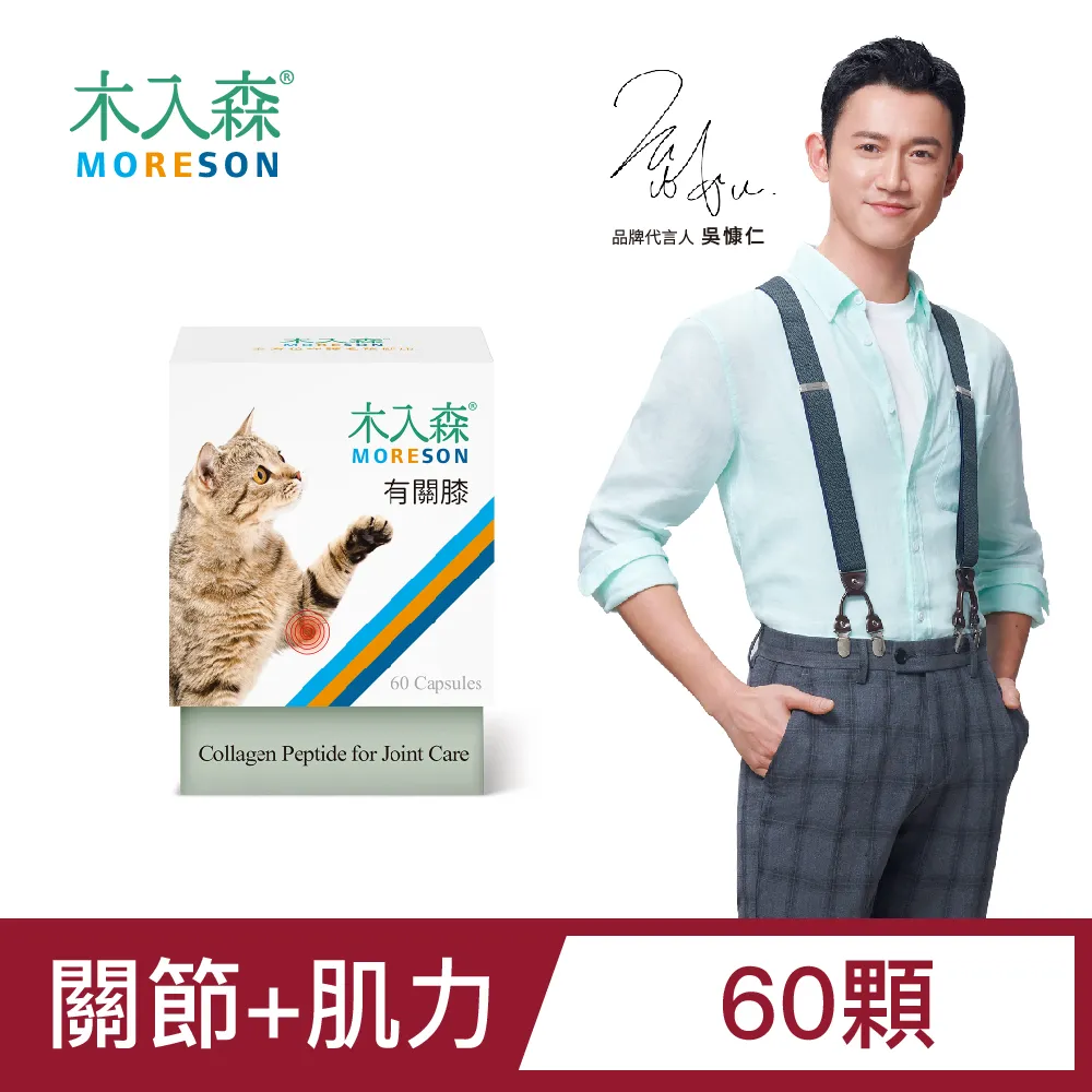 【木入森】貓咪有關膝 精裝包30顆/盒 歷史價格詳細信息