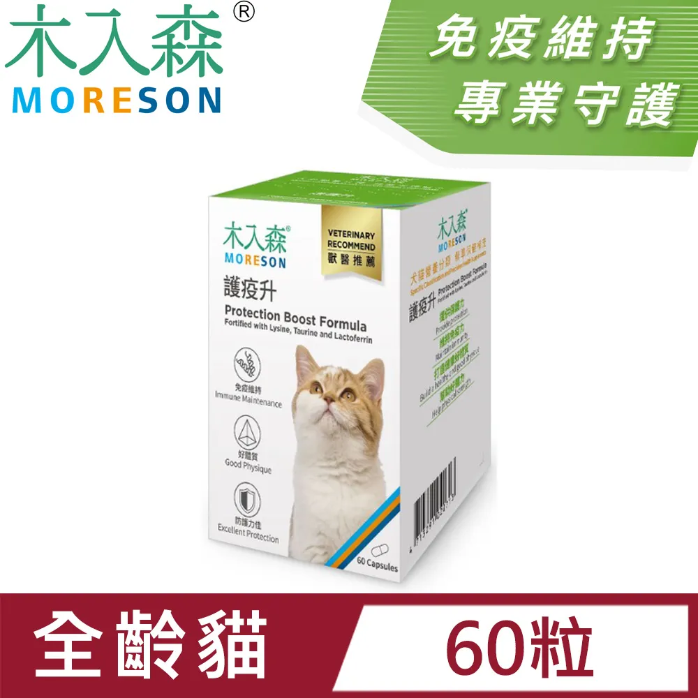 木入森MORESON貓咪膚立好50包 歷史價格詳細信息