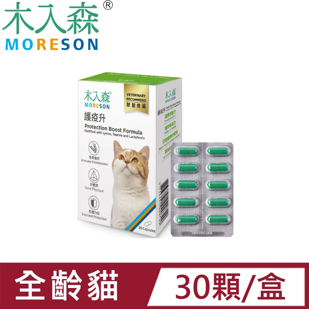 木入森MORESON貓咪膚立好50包 歷史價格詳細信息