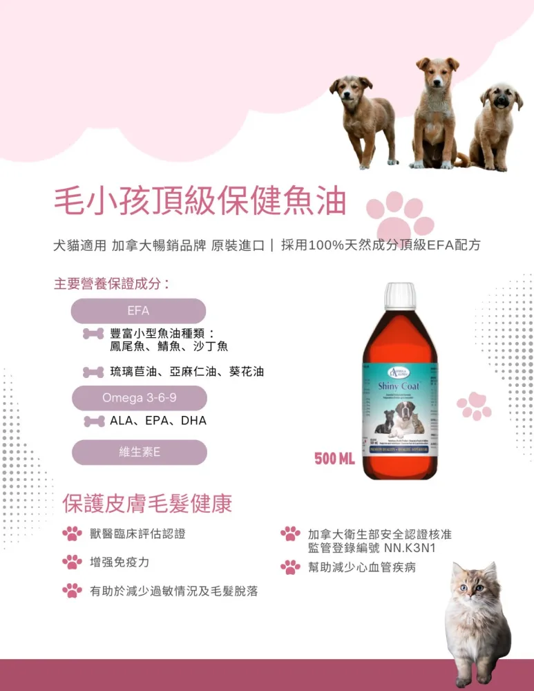 Alpha Omega Wheat Priest/Clergy Overlay Stole (White) 歷史價格詳細信息