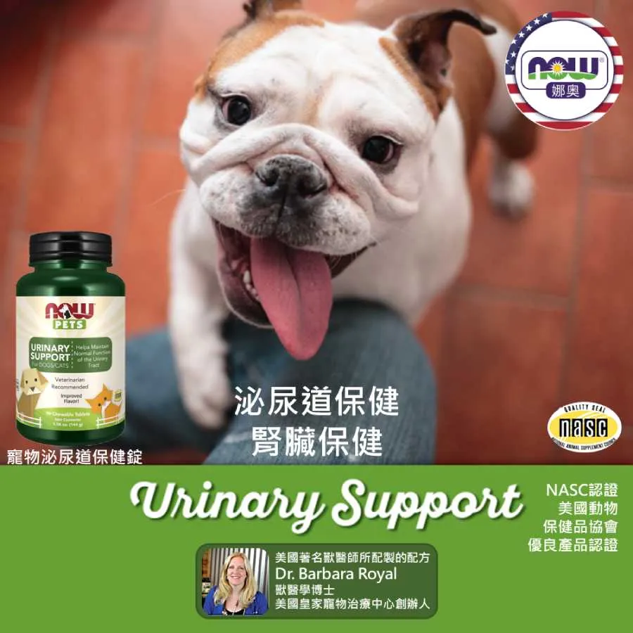 【NOW 娜奧】Now Foods 貓用L-離胺酸粉 227g ~4450~(L-Lysine/配方不含麩質) 歷史價格詳細信息