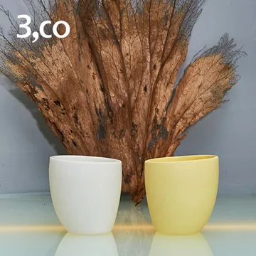 【3,co】海洋斜月壺(兩件式) 歷史價格詳細信息