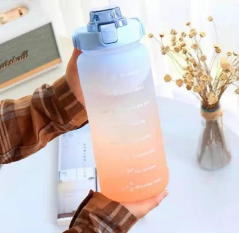 手提漸變運動水壺 1000ml【HA031】 歷史價格詳細信息