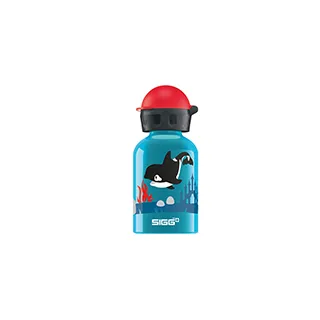 瑞士百年SIGG全清透Tritan水瓶 500ml - 桃紅 歷史價格詳細信息