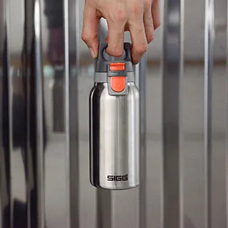 瑞士百年SIGG H&C不銹鋼保溫瓶 500ml - 純雪 歷史價格詳細信息