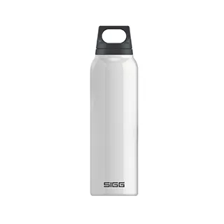 瑞士百年SIGG全清透Tritan水瓶 500ml - 桃紅 歷史價格詳細信息