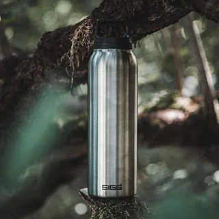 瑞士百年SIGG全清透Tritan水瓶 500ml - 桃紅 歷史價格詳細信息