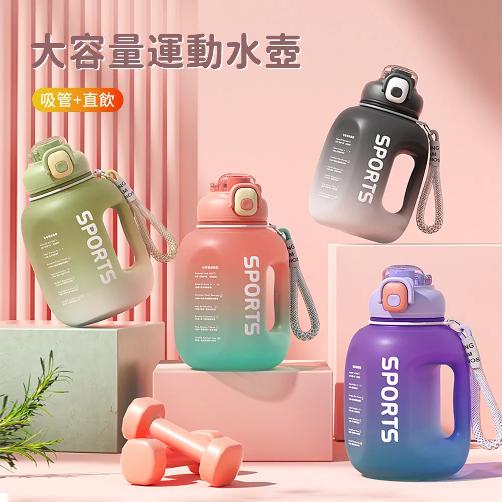 雙飲環保杯 茶飲環保杯 珍珠奶茶杯 吸管水壺 大象杯 手搖飲料杯 保溫杯 水壺杯 750ML 歷史價格詳細信息