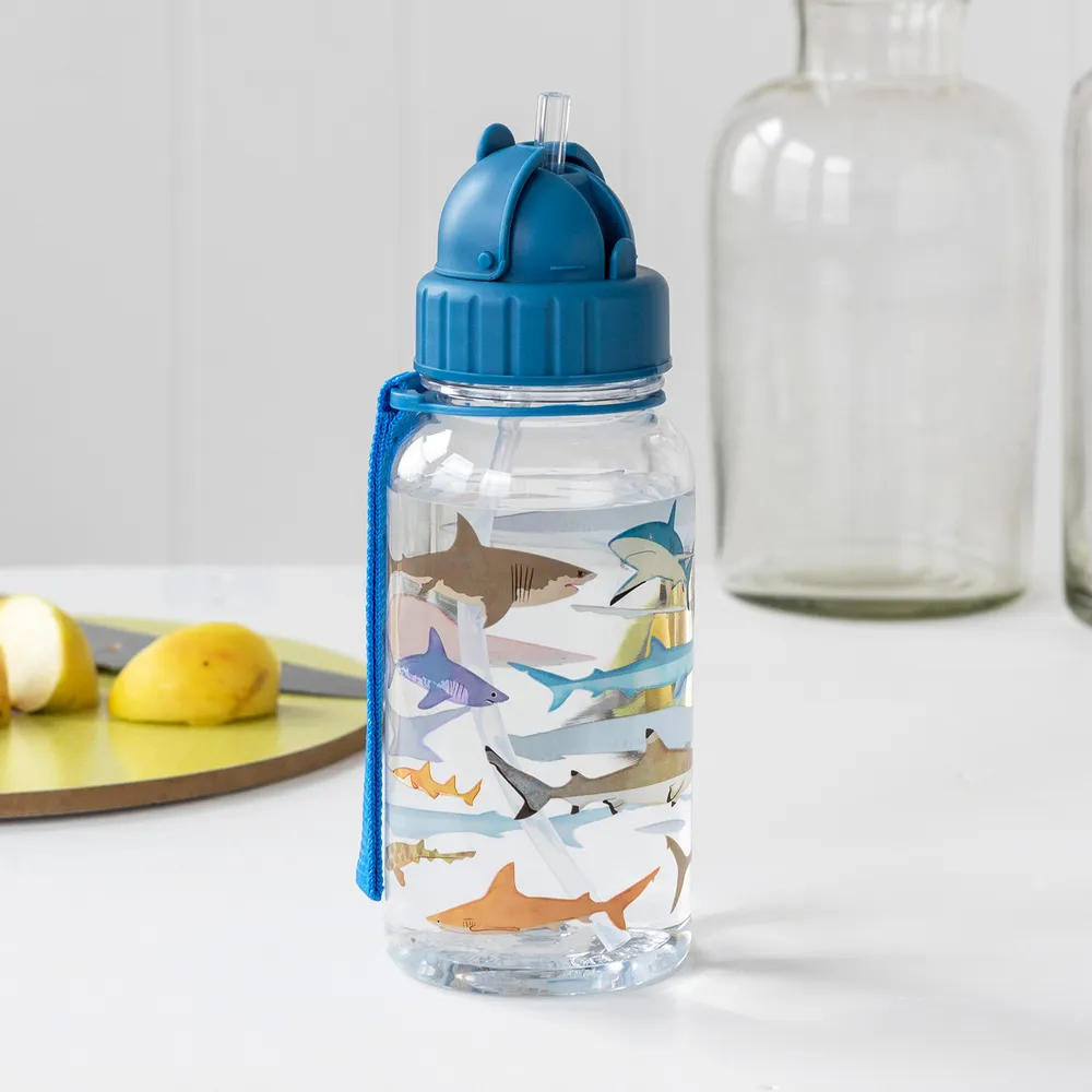 【Rex London】輕攜吸管水壺 鯊魚圖鑑500ml / 水壺 冷水瓶 隨行杯 環保杯 歷史價格詳細信息