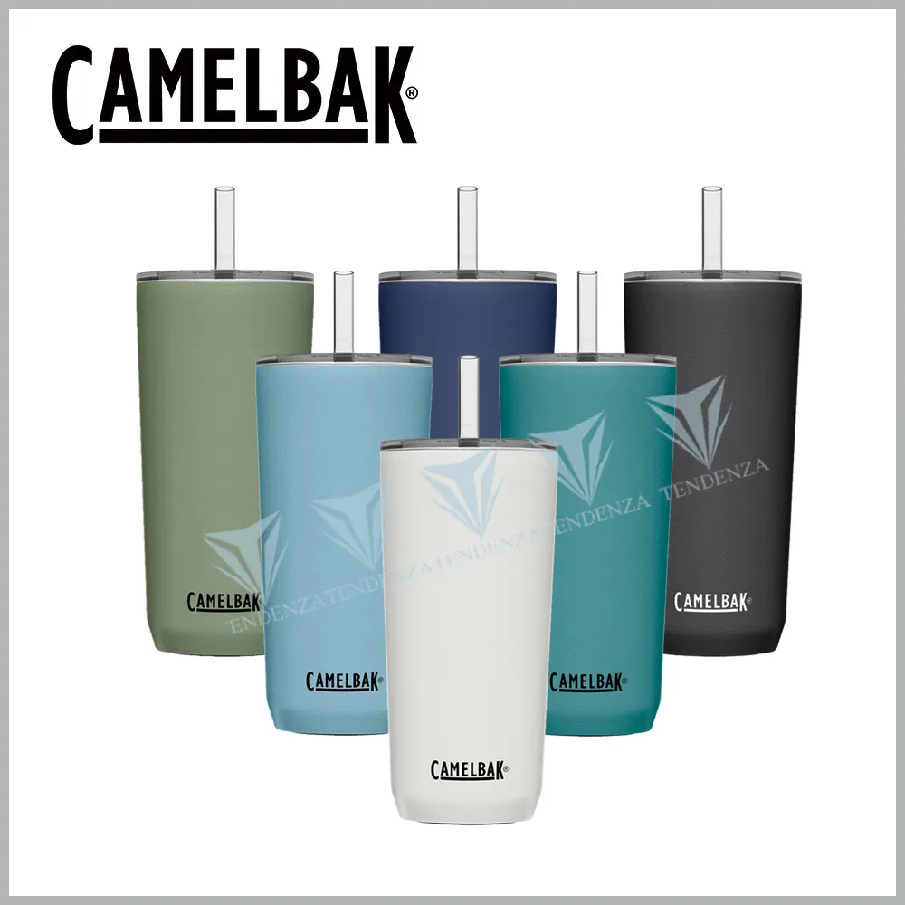 Straw Tumbler 不鏽鋼真空保溫杯吸管杯蓋組 - 大 歷史價格詳細信息