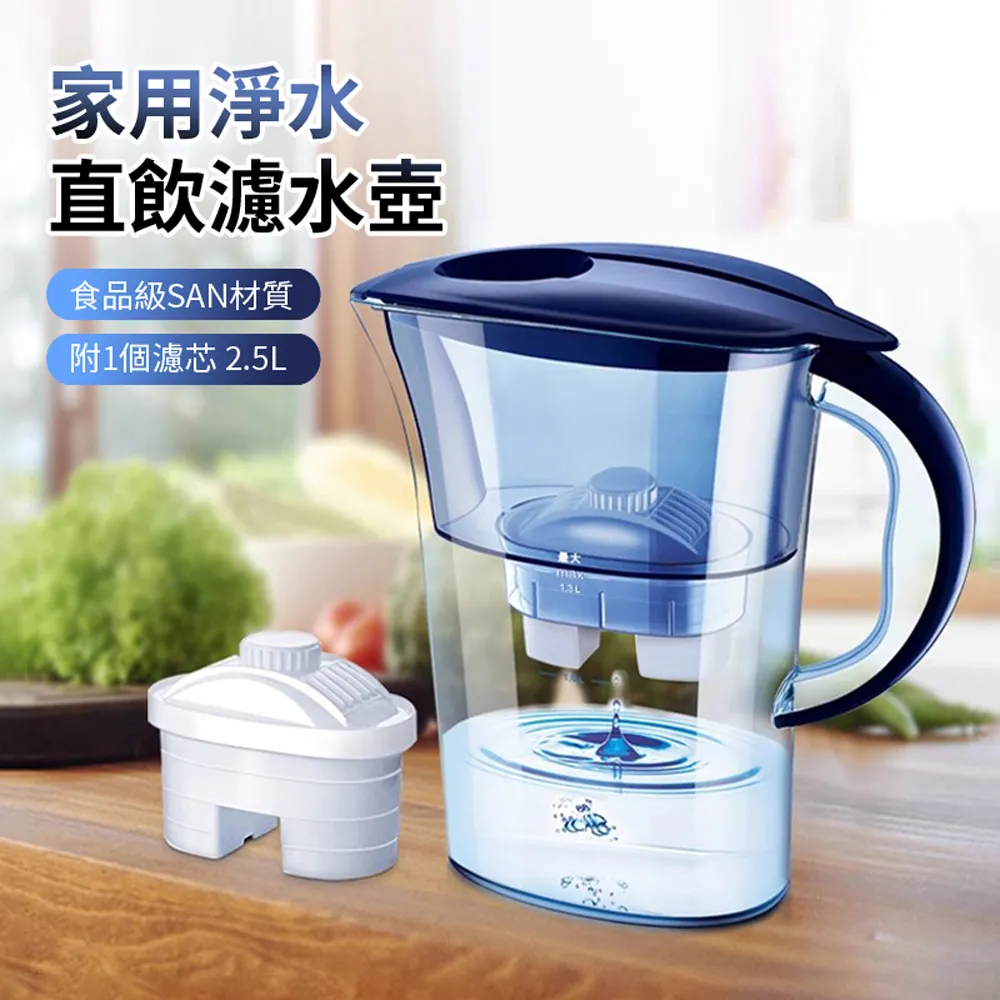 凈水器家用凈水壺濾芯除垢加強版碧然德適用廚房辦公便攜濾芯通用 歷史價格詳細信息