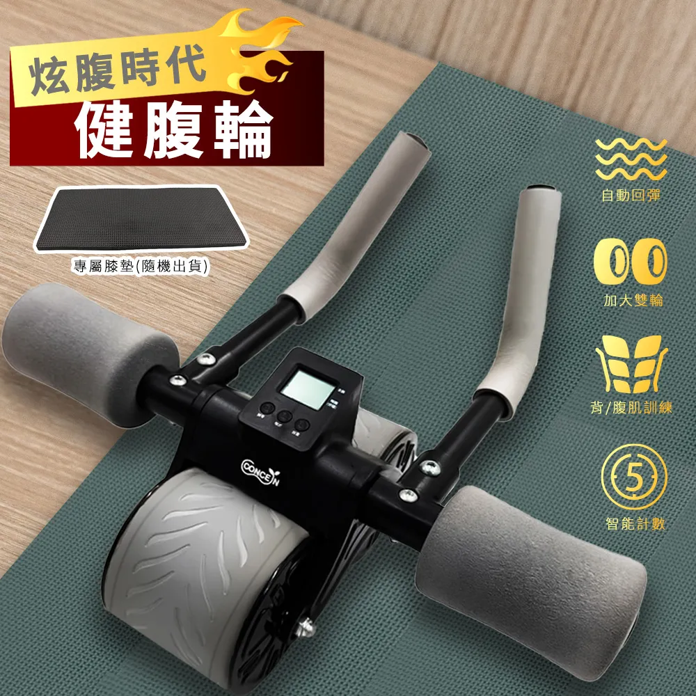 Concern 康生 CON-YG010 銀炫全能健腹巨輪 歷史價格詳細信息