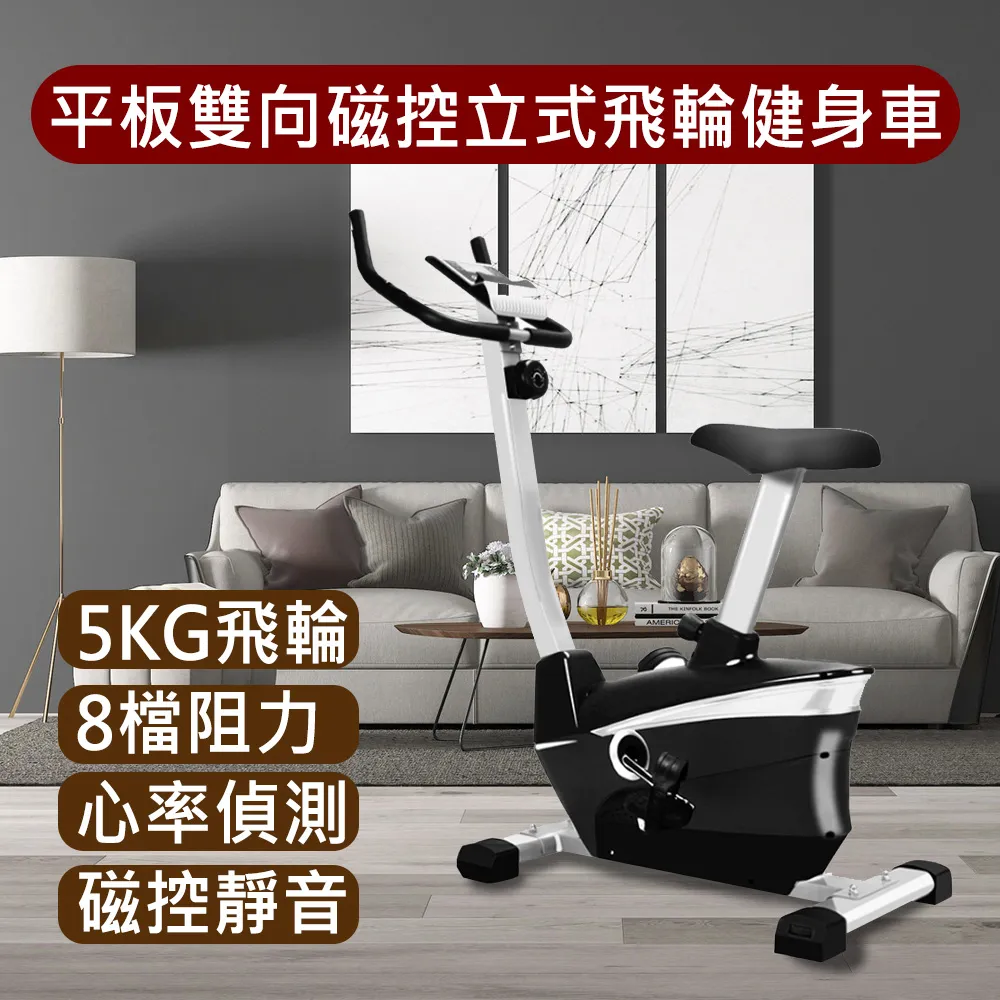 【X-BIKE 晨昌】5件組-TPE防滑加厚 8MM厚 183x80cm 正位線雙色瑜珈墊+拉力器+八字繩+綁帶+背袋 歷史價格詳細信息