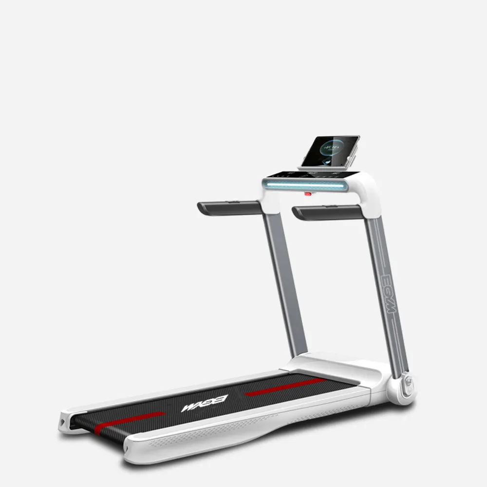 【BGYM比勁】跑步機地墊 加厚版6mm-台灣製造 (長198 x 寬91 x 厚6mm ) 歷史價格詳細信息