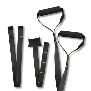 TRX懸掛式 健身訓練帶 附延長帶 居家健身 自主訓練 隨處可用 TRX 健身 健身帶 訓練帶 TRX帶【現貨】 歷史價格詳細信息