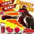 拳擊反應球 拳擊彈力球 魔力球 跆拳道用品 boxing 反應速度 健身娛樂 甩腳球 健身運動 趣味玩具 不規則反射球 歷史價格詳細信息