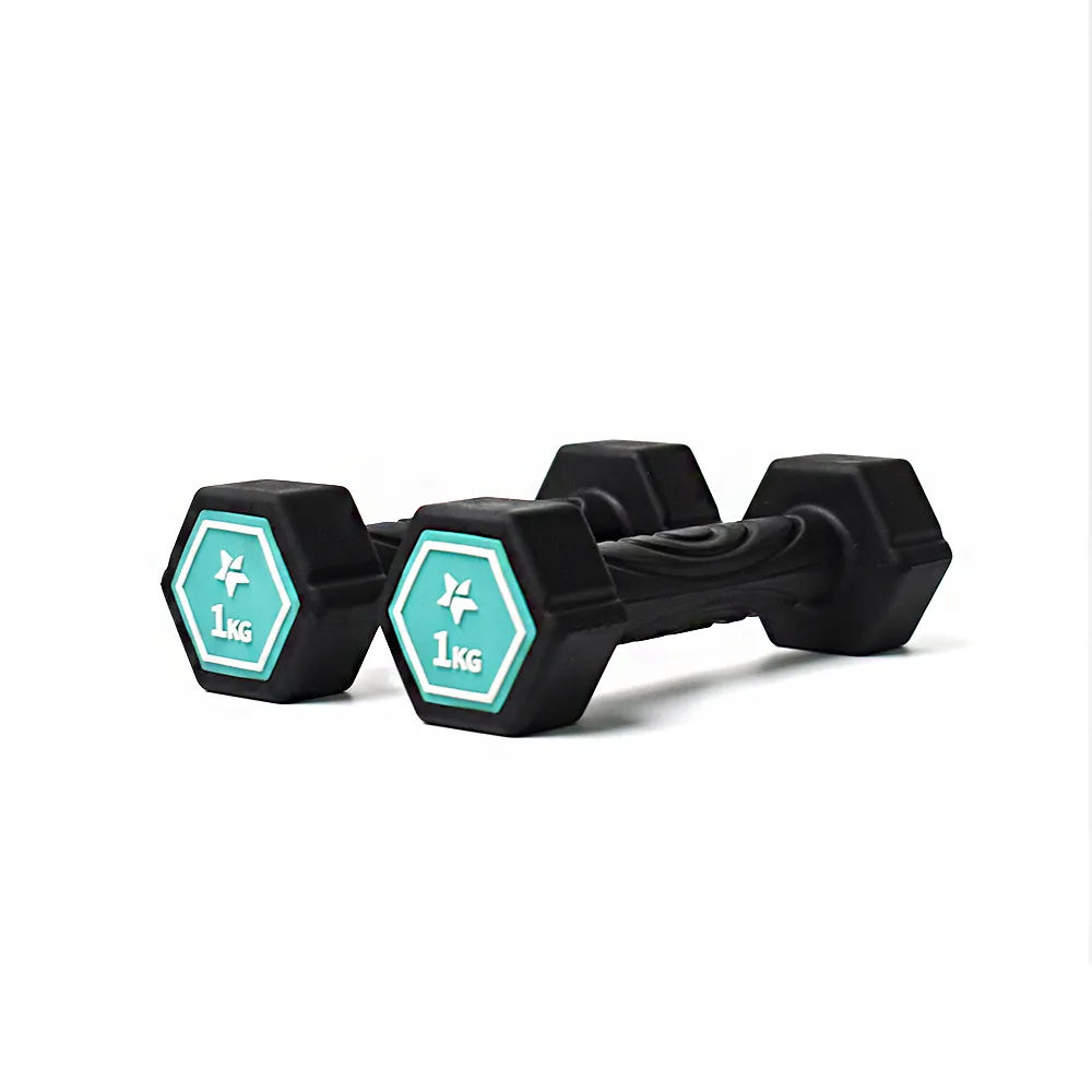 Fun Sport-奇樂力-波紋防滑啞鈴-1kgx2 價格比較,價格查詢,歷史價格詳細信息