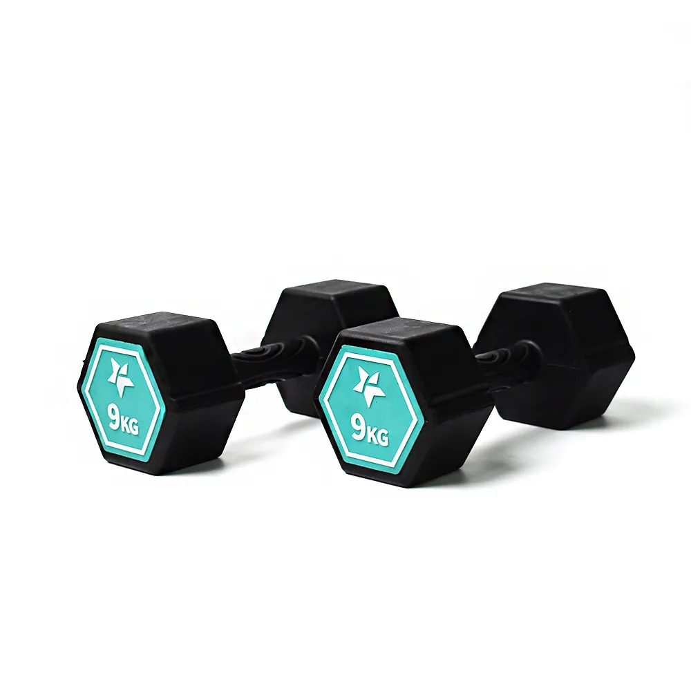 Fun Sport-奇樂力-波紋防滑啞鈴-1kgx2 歷史價格詳細信息