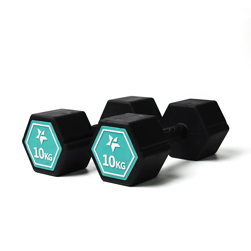 Fun Sport-奇樂力-波紋防滑啞鈴-1kgx2 歷史價格詳細信息