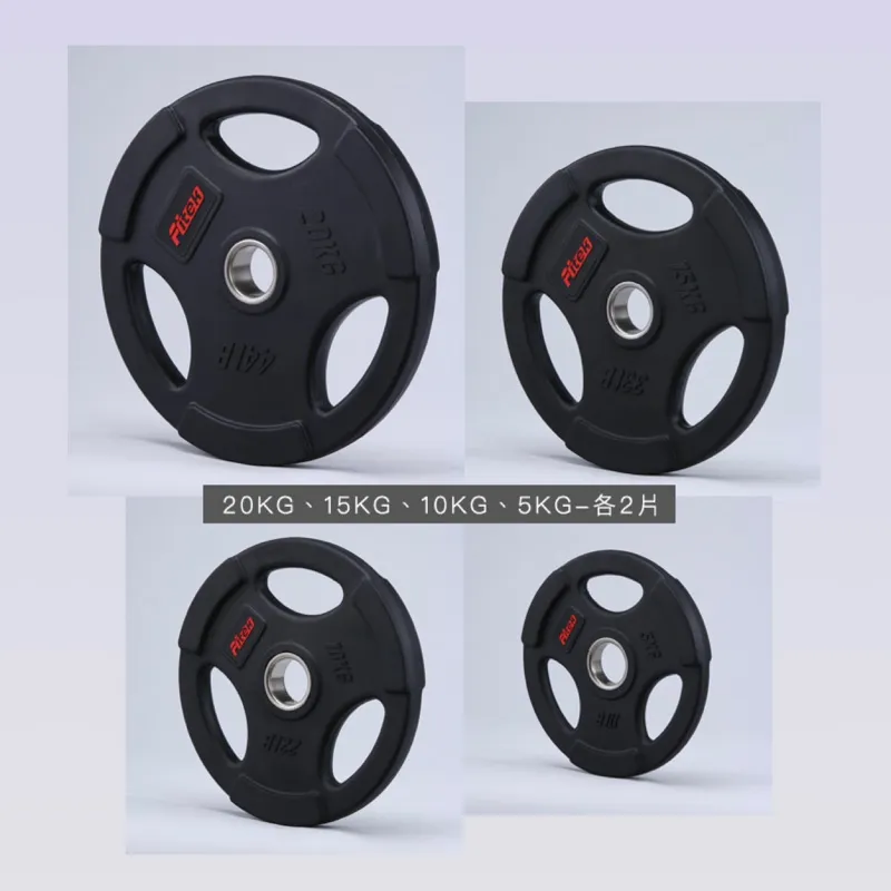 5kg奧林匹克槓片-奧槓專用-1對 歷史價格詳細信息